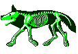 wolf with a glowing green skeleton