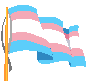waving trans flag