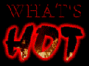 the words 'what's hot' in red flaming letters